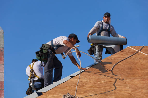 Best Roof Maintenance Services  in Seco Mines, TX