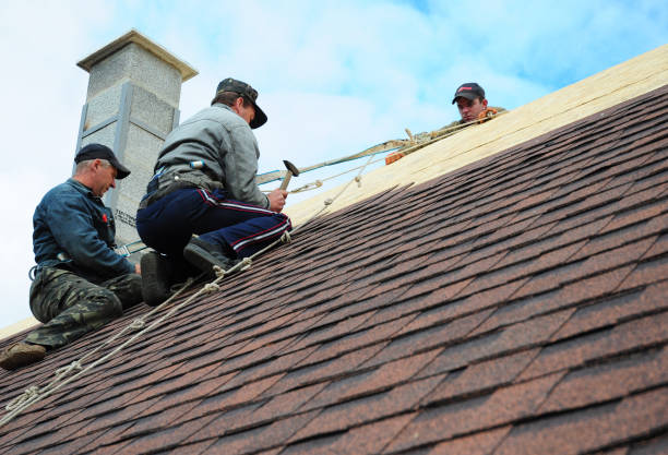 Best Metal Roofing Contractor  in Seco Mines, TX